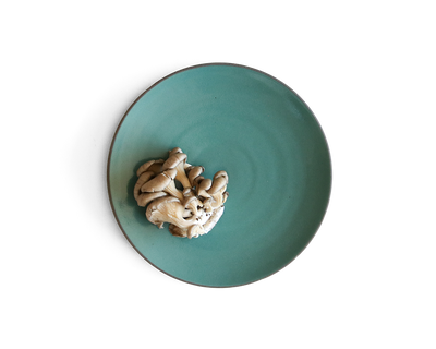 105-coupe-entree-plate